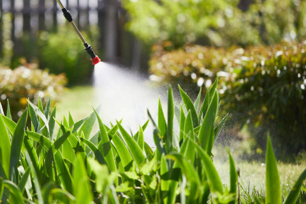 24/7 Emergency Wasp Removal experts in Baker, LA