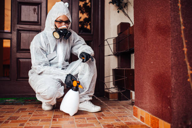 Reliable Wasp Removal contractor in Baker, LA by Show Me Pest Control